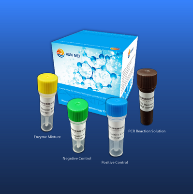 New Coronavirus covid-19 kit de detección de ácido nucleico (método fluorescente RT-PCR)