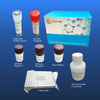 Kit de anticuerpo neutralizante de SARS-COV-2